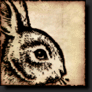 bunny