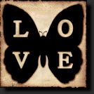 Love butterfly